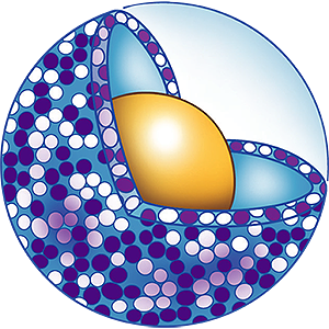 Nano-scale droplet illustration